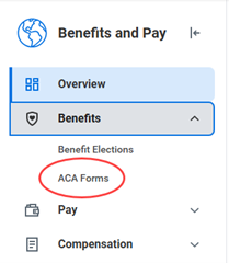 Benefits and Pay Workday Menu Option